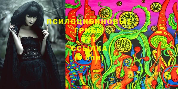 ешки Алексеевка