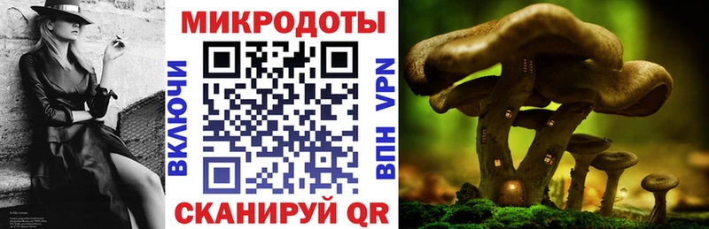 Псилоцибиновые грибы мицелий  дарк нет какой сайт  Сураж 